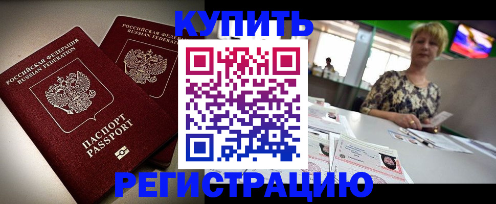 временная прописка в Новозыбкове